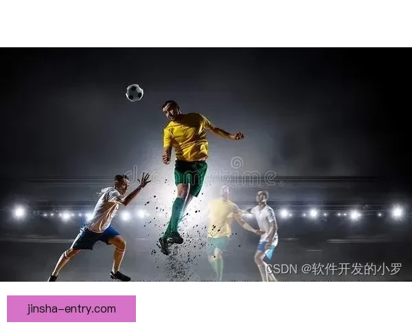 金沙官网入口最新优惠活动与全新体验全面解析指南